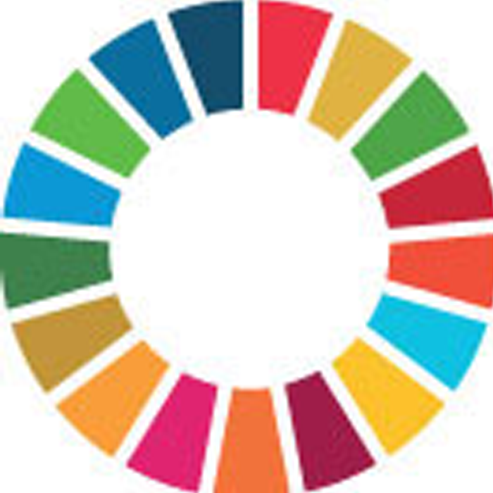 SDG 4